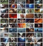 Tree of Life Poster Image of Tree of Life Poster